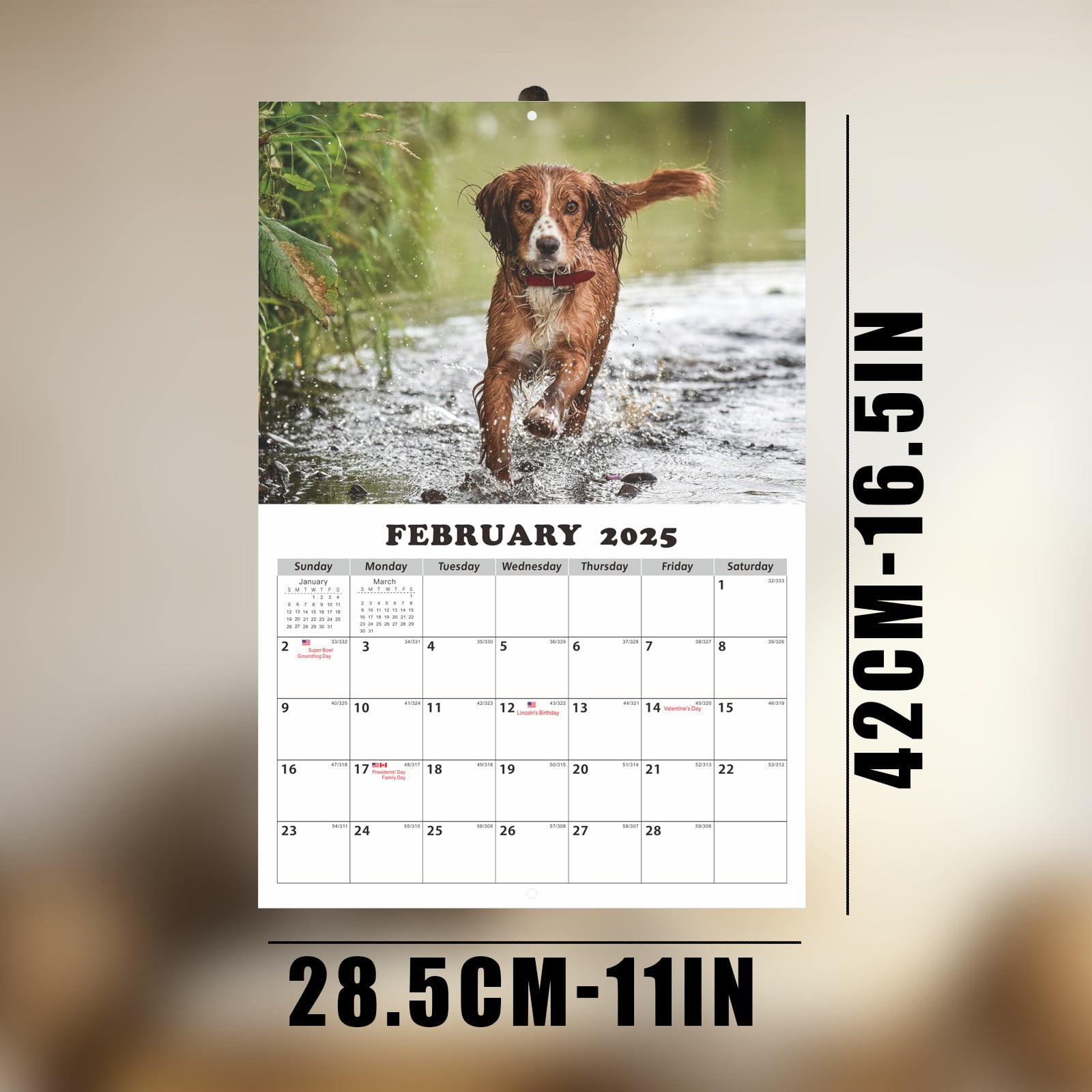 HJQEQVD Advent Calendars 2025 Puppies Monthly Wall Calendar Puppy Dog