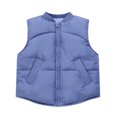 thumbnail image 1 of Lopecy-Sta Children's Puffer Jacket Sleeveless High Stand Collar Lightweight Insulated Crop Vests Outerwear with Pockets, 1 of 4