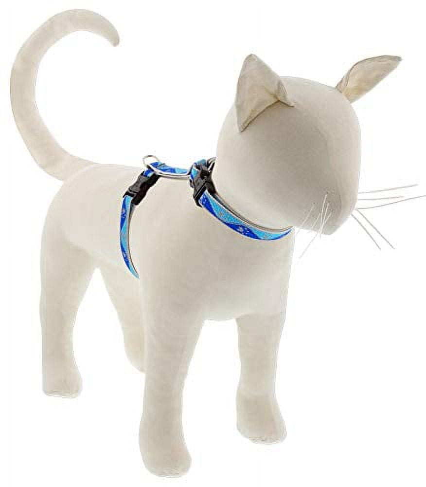 HL 1/2in Blue Paws 12-20 H-Style Cat Harness