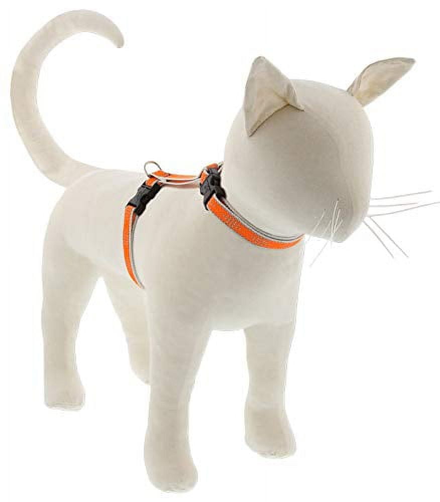 HL 1/2in Orange Diamond 12-20 H-Style Cat Harness