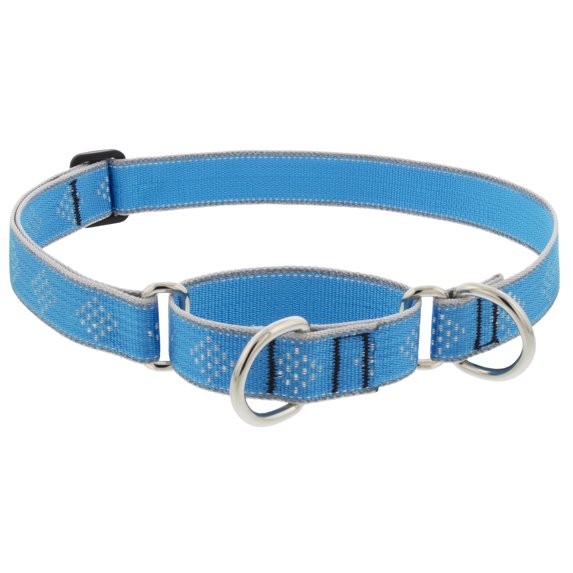HL 1in Blue Diamond 19-27 Martingale Dog Collar