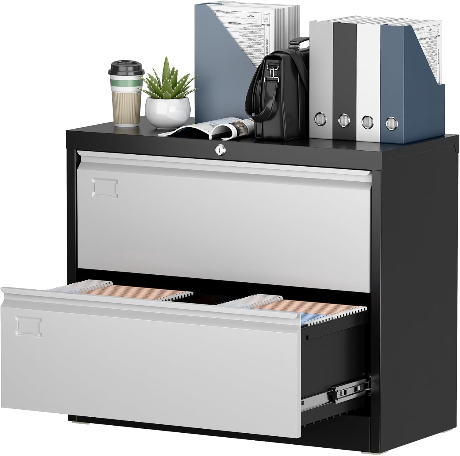 HLTJSUJ 2 Drawer Lateral File Cabinet Metal Filing Cabinet with Lock for School Hanging Files ...