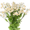 thumbnail image 1 of REGALWOVEN 6 Bundles Artificial Flowers Fake Floral Plants with Stems for Home Garden Wedding Decoration White 20.8 in, 1 of 6