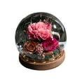 HMOONORY Desktop Ornament with Preserved Rose A Gift Box of Timeless