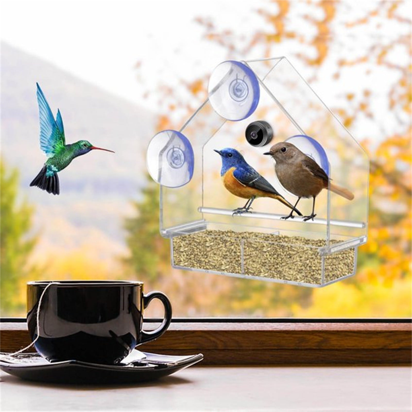 HMPEAIIY Bird Feeder With Camera 1080P Night Version Camera WiFi Remote