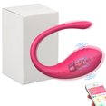 HNGPNGH Wireless Control Vibrator APP Remote Control Dildo Panties Wear