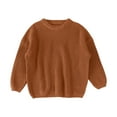 thumbnail image 1 of HNMKIU Knit Sweater Round Neck Long Sleeve Pullover Sweatshirt Solid Fall Sweaters for Toddler Baby Girl and Boy Brown-3,9-12 Months, 1 of 4