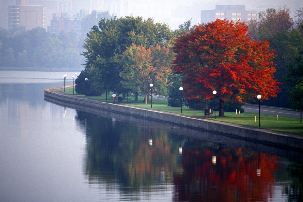 HNowell Rideau Canal Canvas Art - Harry Nowell Design Pics (34 x 22)