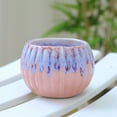 thumbnail image 1 of HOARBOEG Ceramic Pumpkin Planter for Succulents & Cacti, Handcrafted Small Flower Pot with Colorful Glaze, Breathable Round Vertical Design for Home, Office, Garden Decor, 1 of 6