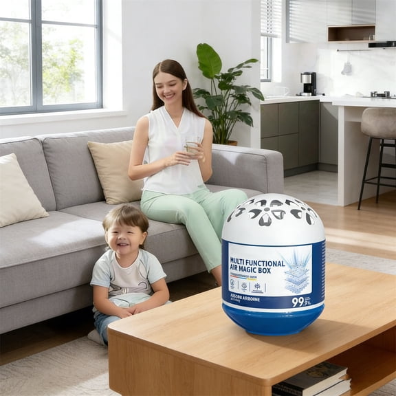 HOARBOEG Home Air Purifier Box, Air Purifying Magical Box with Activated Charcoal & Crystals for Indoor Freshness, 90-Day Coverage, Gel Lock Technology, Family Size for 15-20 m²