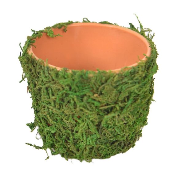 HOARBOEG Mini Decorative Moss Pot with Artificial Moss, Lightweight Plastic Planter for Tabletop and Shelf, Natural Style Home Decor Accent