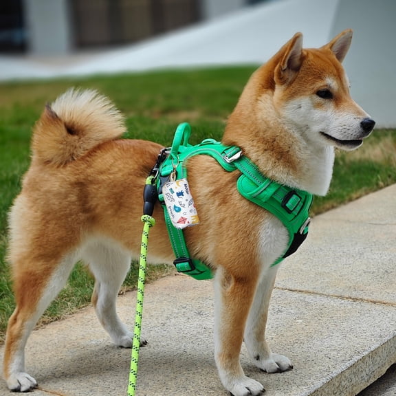 HOARBOEG Portable Dog Poop Bag Dispenser Holder Leash Clip On Waste Bag Pouch for Dog Walking Small Black Polyester Storage Bag for Rolls Parks Travel (3.74x1.97in)