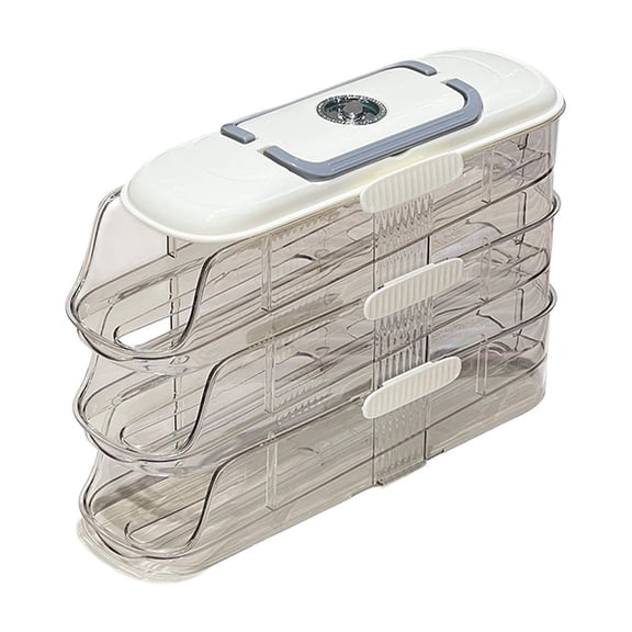 HOARBOEG Rolling Egg Organizer for Refrigerator - Slide Type Egg Holder with Lid, Clear Plastic Egg Storage Box & Roller Tray, Fridge Side Door Organizer, 12.99x8.46x6.3 in