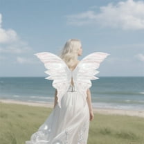 HOARBOEG Sparkly Fairy Wings for Women with Elastic Shoulder Straps, Fairy Costume Set Large Butterfly Wings for Halloween, Parties, Photo Shoots, 35.43*27.55in