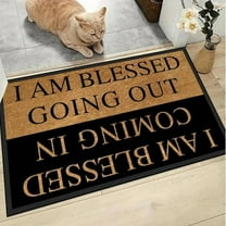 HOARBOEG Thick Crystal Fleece Doormat with Funny Text - Non-Slip Indoor Outdoor Welcome Mat for Front Door, Machine Washable Entryway Rug with Humorous Message, Easy Clean Floor Carpet for Home Decor
