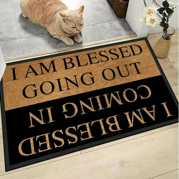 HOARBOEG Thick Crystal Fleece Doormat with Funny Text - Non-Slip Indoor Outdoor Welcome Mat for Front Door, Machine Washable Entryway Rug with Humorous Message, Easy Clean Floor Carpet for Home Decor