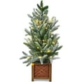 HOBLOC 24 Inch Prelit Mini Christmas Tree with Lights, Small Green
