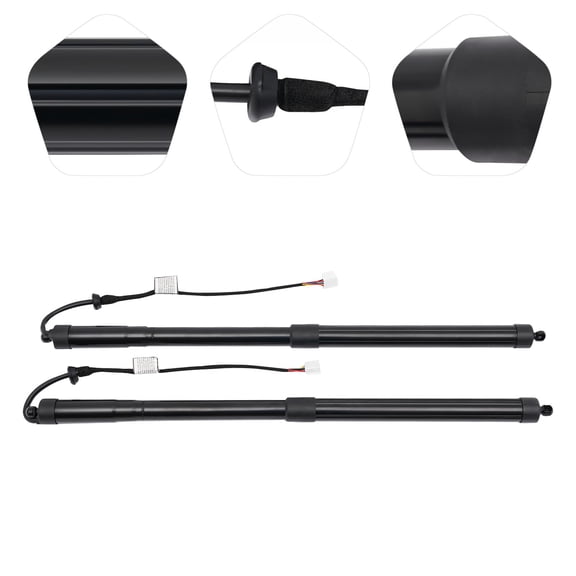 HOHOBLA Pair For 16-19 Lexus RX350 RX450 Rear Trunk Tailgate Lift Supports Struts Shocks