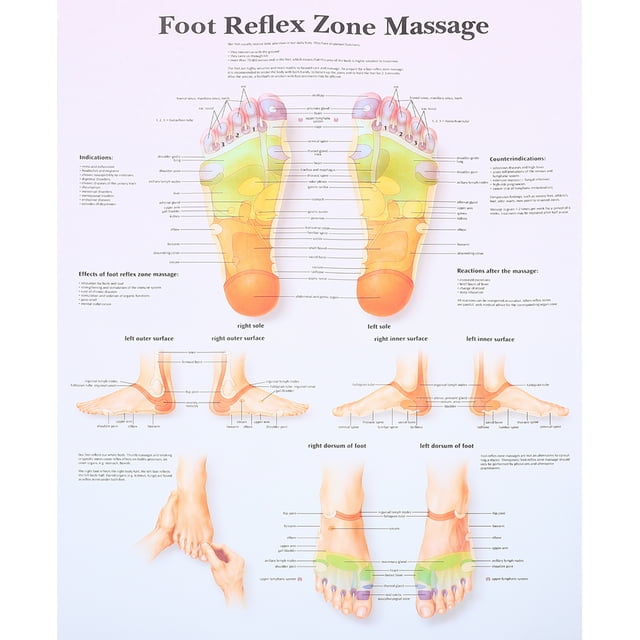 HOKARUA Foot Reflexology Chart Poster Massage Knowledge Poster Wall Art ...