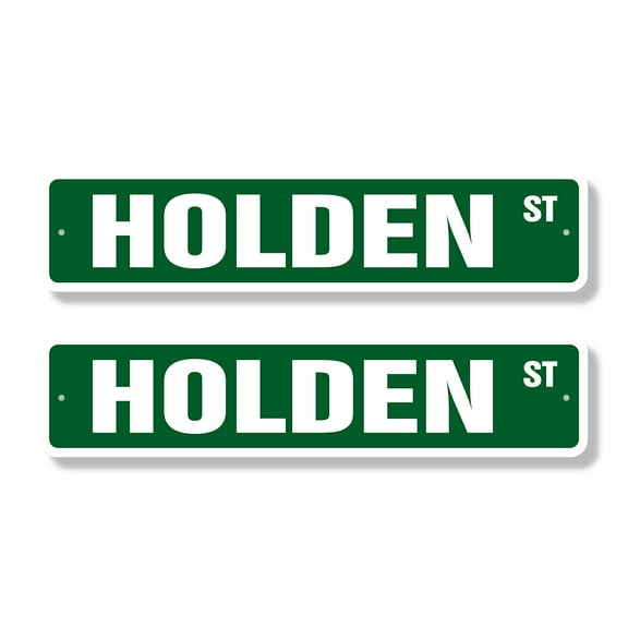 HOLDEN Classic Street Sign (2 Pack) Childrens Name Room Sign Road Sign | 6" X 24" Plastic Address Sign