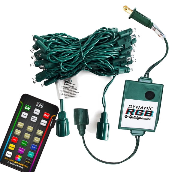 HOLIDYNAMICS 50-Pack Indoor/Outdoor LED String Lights, 17 ft, Corded Electric, Connect up to 20 Strings