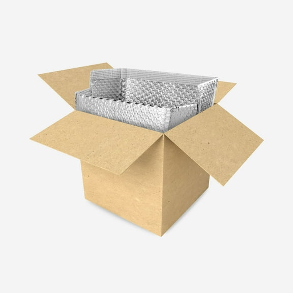 HOLPACK 12 in x 10 in x 9 in Thermal Insulated Bubble Carton Liners, 25-pack MADE IN USA