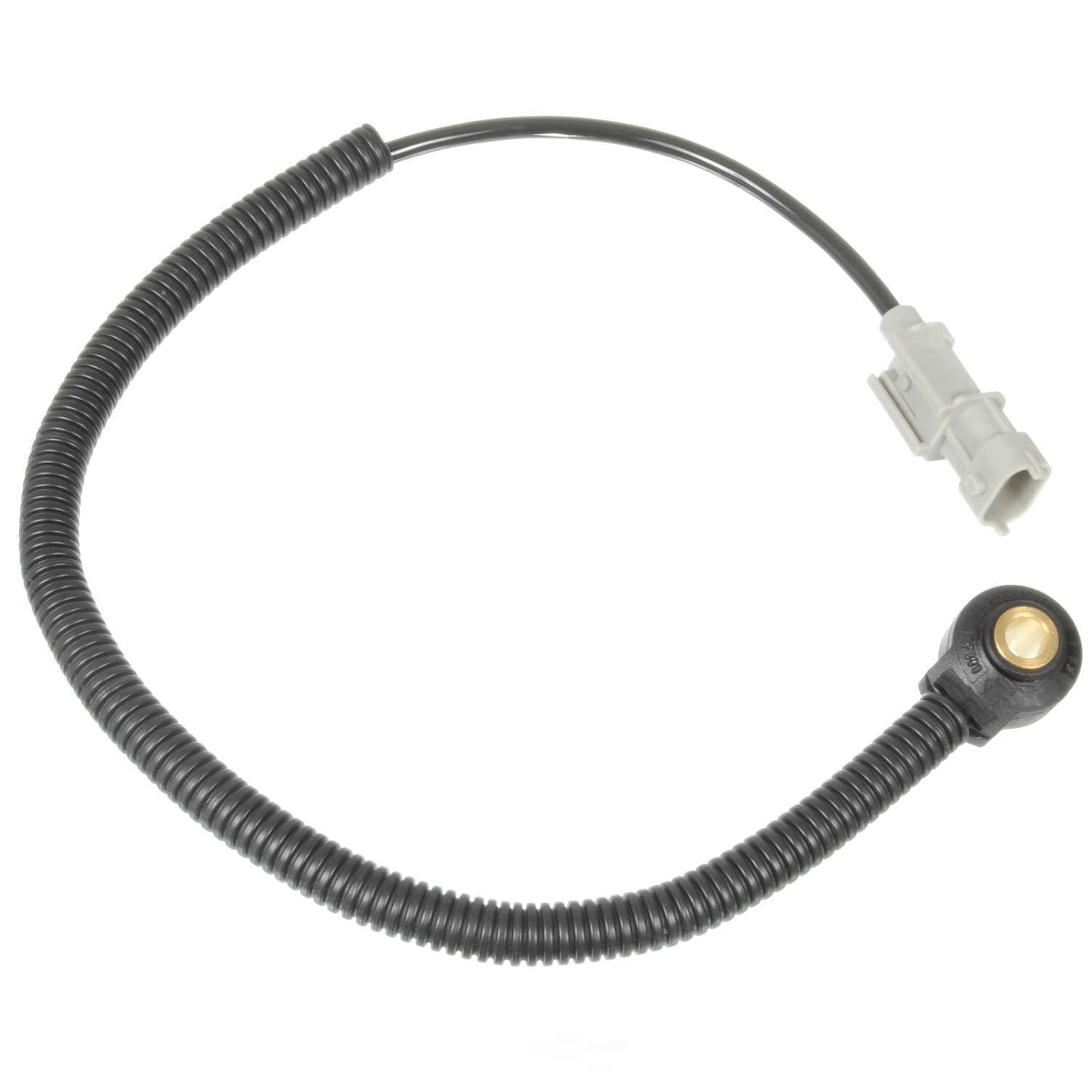 HOLSTEIN 2KNC0115 Ignition Knock(Detonation) Sensor