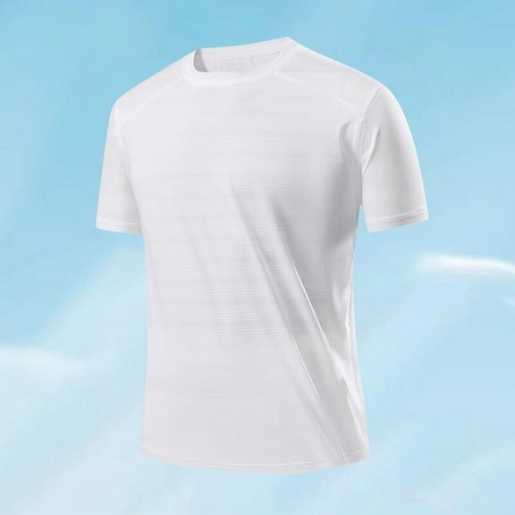 HOMADLES Mens T Shirts Ice silk Crewneck Loose Soft Gym Breathable Pullover Short Sleeve White 2XL