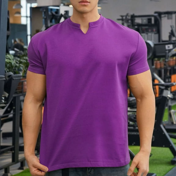 HOMADLES Mens T Shirts V-neck Soft Casual Muscle Solid Casual Short Sleeve Purple 3XL