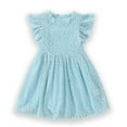 thumbnail image 1 of HOMADLES Summer Kids Girls Dresses Crewneck Solid Flying Sleeves, Loose Sundress Light Blue 2 years, 1 of 3