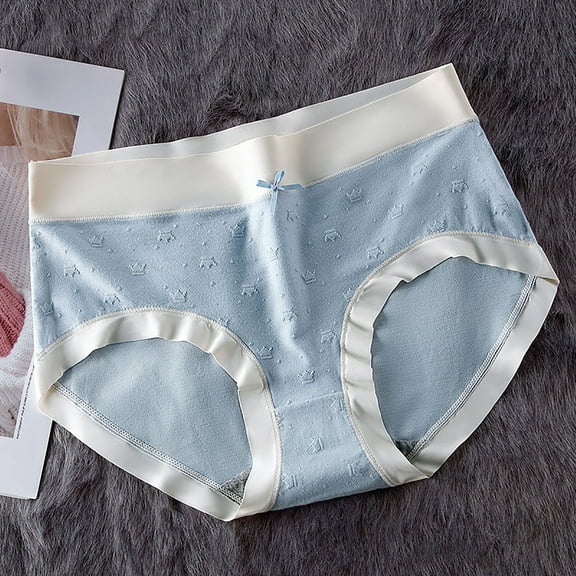 HOMBOM Brief Cotton Panties for Women Sexy Plus Size Blue Underwear Women Pack XXL