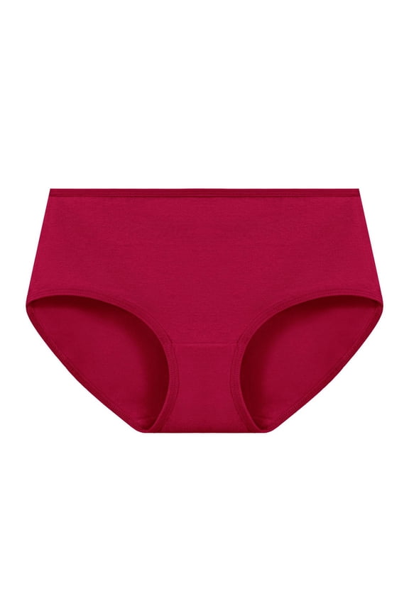 Womens Period Panties Briefs Red Plus Size Spandex Seamless Underwear for Ladies Full Coverage L