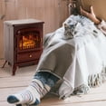 thumbnail image 1 of HOMCOM Electric Fireplace Heater, Fireplace Stove with Realistic LED Flames and Logs, and Overheating Protection, 725W/1450W, Red, 1 of 10