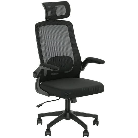 HOMCOM Ergonomic Office Chair, Mesh Desk Chair with Lumbar Support, Black