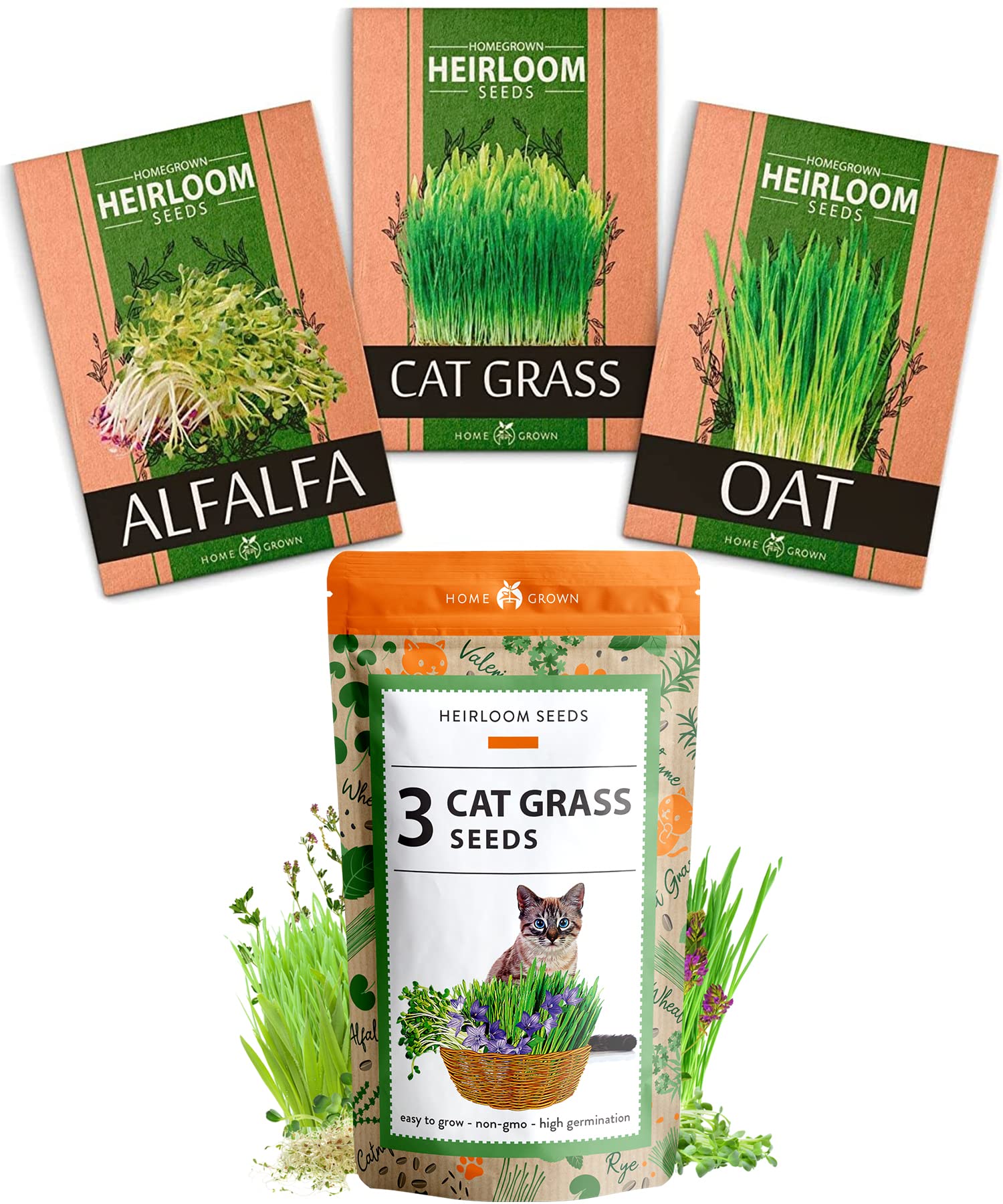 HOME GROWN Cat Grass DHF10 Seeds Grow Cat Grass for Indoor Cats Cat