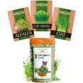 HOME GROWN Cat Grass DHF10 Seeds Grow Cat Grass for Indoor Cats Cat