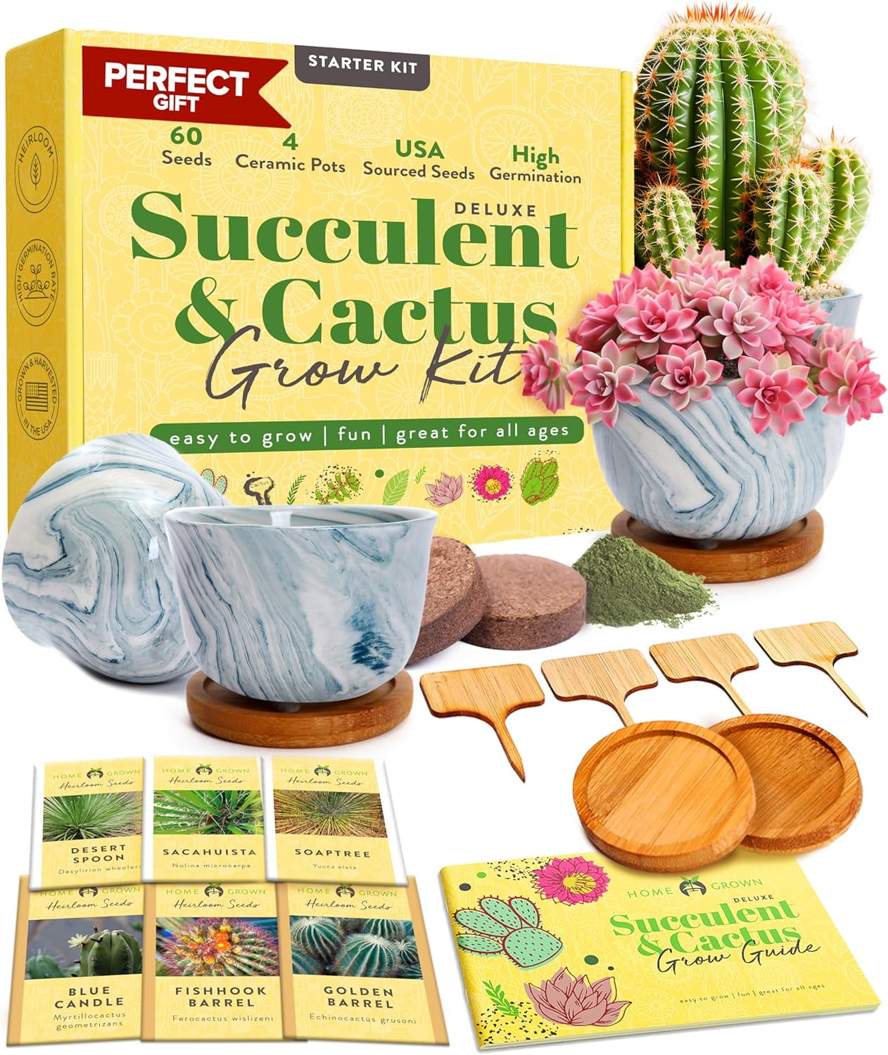 HOME GROWN Deluxe Succulent & Cactus Seed Grow Kit Complete Indoor