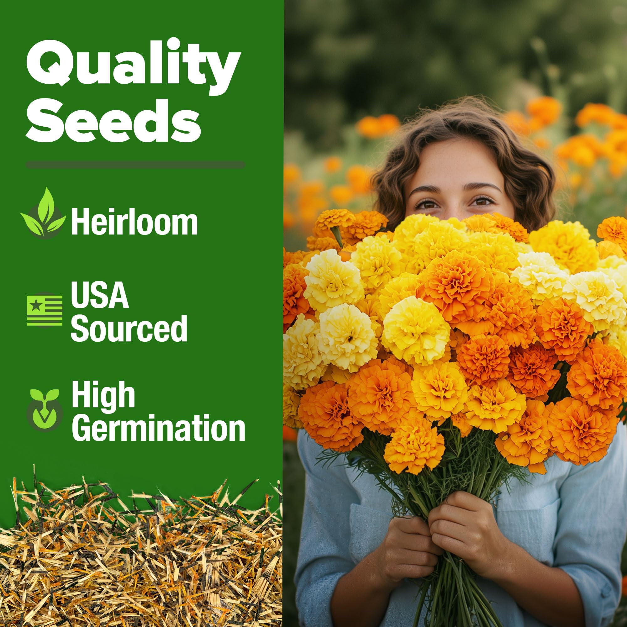 R-DRoz Marigold African Better Germination Flowers Seeds - Pack Of 50 Premium Se