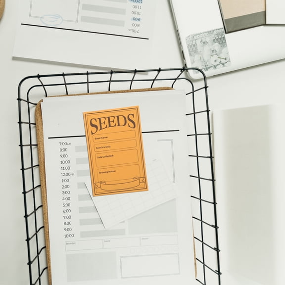 HOMEMAXS  100 Pcs Seed Envelope Small Brown Envelopes for Seeds Plants Storage Organizer Business Supplies