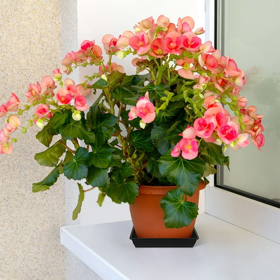 VERDANVERSE Homeowners Black Plastic 10Pcs 8.65X8.65X0.98In