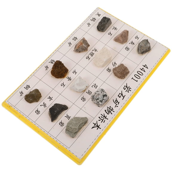 HOMEMAXS 12pcs Mineral Rock Specimen Kit for Geology Classroom Display and Collection in Assorted Colors