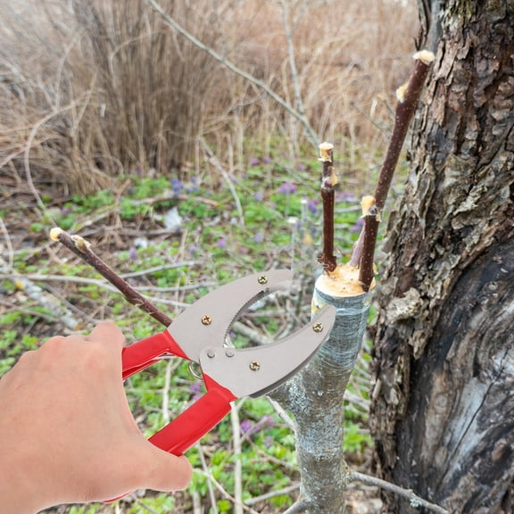 HOMEMAXS 1pc Adjustable Fruit Tree Girdling Cutter Pruning Tool