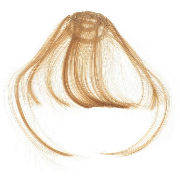 2 Pcs Invisible Wig Artifact Curtain Bangs Hair Clip Clips