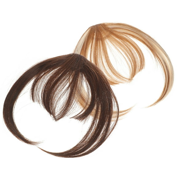 HOMEMAXS  2 Pcs Wig Bangs Boar Bristle Brush Hair Clips Claw with Fake Miss