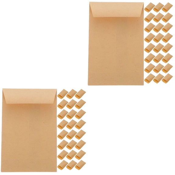 HOMEMAXS 240 pcs  Small Envelopes Kraft Paper Envelopes Plants Seeds Envelopes Blank Storage Envelopes