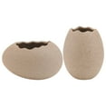 thumbnail image 1 of 2Pcs Egg Shaped Vase for Simple Hydroponics and Flower Arrangement as Home Decor, 1 of 8