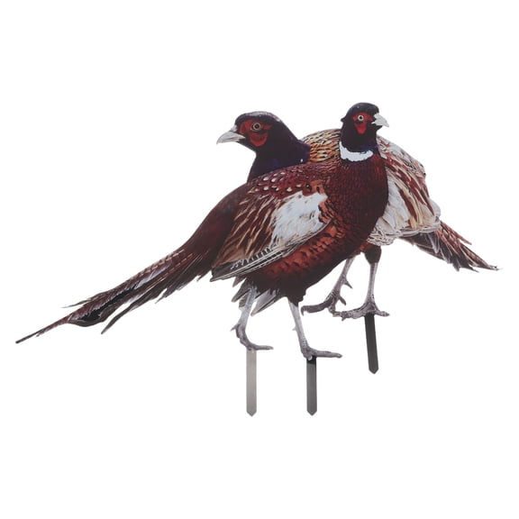 HOMEMAXS 2pcs Outdoor Chicken Yard Art Realistic Pheasant Garden Stake For Lawn And Garden Acrylic Chicken Decor For Courtyard And Fence