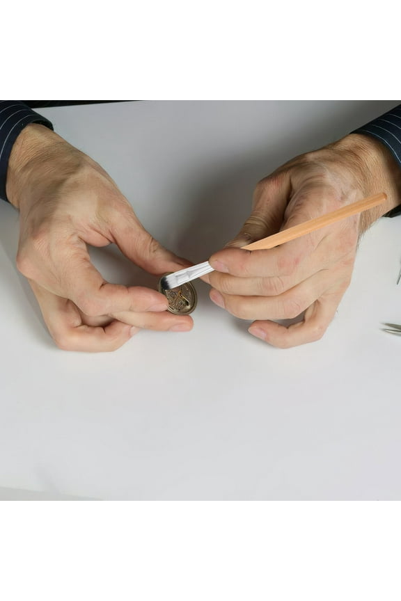 2pcs Tiny Cleaning Brush Watch Cleaning Brush Jewelry Brush Watch Service Brush Precision Watch Brush Watch Cleaning Brush for Watch Repair