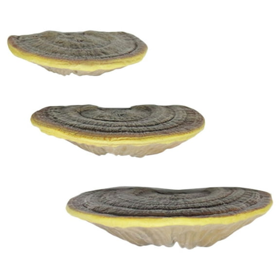 VERDANVERSE decorative shelf Wall Display Resin Compact Decor Enthusiasts Living Room 3pcs