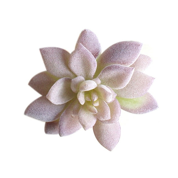 HOMEMAXS 3 Pcs Realistic Simulated Succulents Artificial Succulent